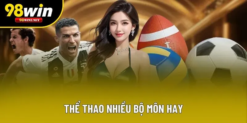 Thể thao nhiều bộ môn hay