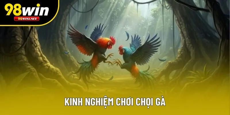 Kinh nghiệm chơi chọi gà